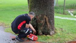 Sakarya'da parkta çıkan yangın büyümeden söndürüldü