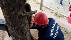 Arnavutköy’de parkta otururken parmağını banka sıkıştırdı