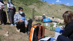 Aşı timleri, Tunceli'nin 2 bin 500 rakımlı yaylalarına çıktı