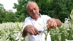 Tokat'ta hobi olarak başladığı akzambak üretimiyle hayatı değişti