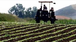 Türkiye artık tohum üreten ve ihraç eden ülke konumunda