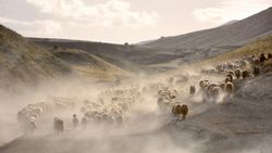 Nemrut Dağı eteklerine tozlu yolculuk başladı