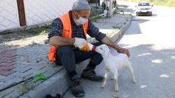 Bolu'da temizlik işçisi, peşinden ayrılmayan oğlağıyla cadde ve sokakları temizliyor