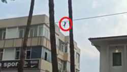 Antalya'da ağaçta mahsur kalan yavru kedi, düşerken açılan bezle kurtarıldı