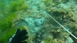 Müsilaj, İzmit Körfezi'nde deniz tabanında tortu oluşturdu