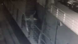 Esenyurt’ta köpeğe pompalı tüfekli saldırı anı kamerada