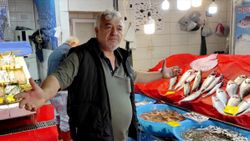 Müsilaj nedeniyle balık satışlarındaki düşüş devam ediyor