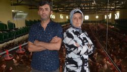 Ordu’da eğitim alarak yumurtacılığa başladılar şimdi ihraç ediyorlar