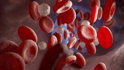 Hematoloji nedir