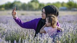Diyarbakır'da lavanta bahçeleri çiftçilere alternatif ürün oldu