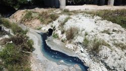 Arnavutköy Şamlar Gölü'ne akan dereye kimyasal atık karıştı