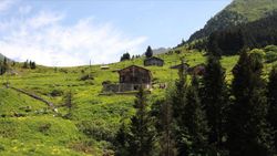 Rize'de Elevit Yaylası, ziyaretçilerin ilgi odağı oldu