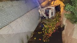 İstanbul'da karpuz yüklü kamyon dereye düştü