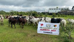 İHH’nın Kamerun’da Kurban Bayramı çalışmaları
