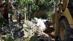 Pendik'te fidye için kaçırdıkları kişiyi öldürüp üzerine beton döktüler