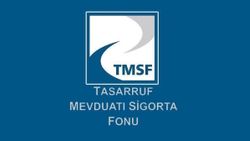 21 tasarruf finansman şirketinin tasfiyesi TMSF’de