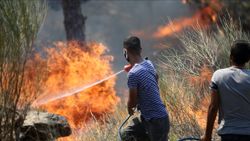 Vatandaşlar Silifke'deki yangını söndürme çalışmalarına yardım ediyor