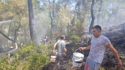 Kemer’de 3 alanda başlayan orman yangını söndürüldü