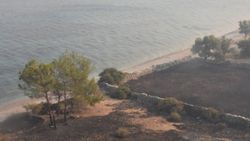 Bodrum Çökertme koyunun son hali yürek burktu