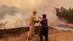 Adana'da bir itfaiye eri, su içmeyi reddedip yangına müdahaleye devam etti