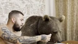 Rusya'da ayısıyla birlikte yemek yiyerek, çizgi film izledi