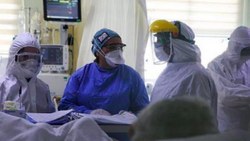 Marburg Humması virüsü Gine'de görüldü