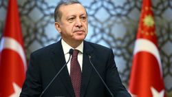 Cumhurbaşkanı Erdoğan, Litvanya Cumhurbaşkanı ile görüştü