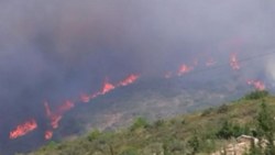 İzmir’deki orman yangını, 14 saat sonra kontrol altına alındı