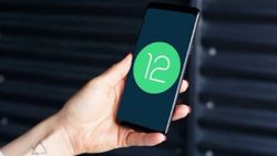 Android 12 güncellemesi alacak telefonlar! Liste ortaya çıktı