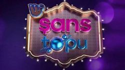 Şans Topu bilet sorgulama ekranı