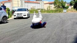 Sakarya'da yıllardır beklediği asfalt yola kavuşan yaşlı adam taklalar attı