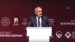Lütfi Elvan: Bu yıl yüzde 8’in üzerinde büyüme bekliyoruz