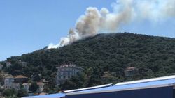 Heybeliada'da orman yangını