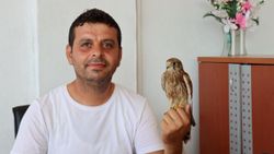 Adıyaman'da atmaca yavrusu ile lokantacının dostluğu
