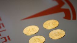 Bitcoin ve Dogecoin'de yükseliş