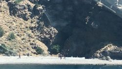 Ayvacık’ta Yunanistan'ın ölüme terk ettiği 52 kaçak göçmen kurtarıldı