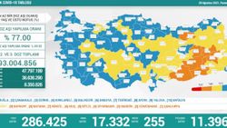 29 Ağustos Türkiye'de koronavirüs tablosu