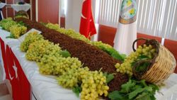 Salihli, Kurtuluş Günü 2'nci Kuru Üzüm Şenliği'ne hazırlanıyor
