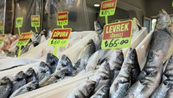 Akdeniz'de sezon açılınca balık fiyatlarının düşmesi bekleniyor
