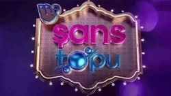 Şans Topu bilet sorgulama ekranı