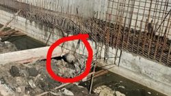Polonya'da 2. Dünya Savaşı'ndan kalma bomba bulundu