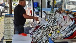 Balıkçılar isyanda: Palamut zengin balığı oldu, kilosu 135 TL