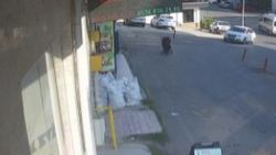 Sinop'ta içinde çocuk olan bebek arabası yokuştan kayıp, 3 metreden düştü