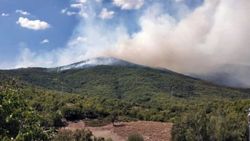 Tunceli'de çıkan örtü yangınına havadan müdahale sürüyor