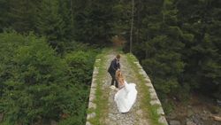Rize’de gelin ve damadı köpek kovaladı