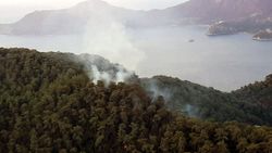 Muğla'da orman yangını çıktı