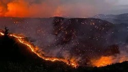 Antalya ve Muğla'da yangından zarar gören 1100 bina yıkıldı