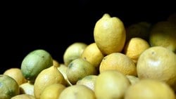 Muğla'da limon üreticisi düşük fiyat nedeni ile zor günler geçiriyor
