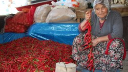 Bilecik'te bir köy 152 yıldır aynı tohumdan acı kırmızı biber üretiyor