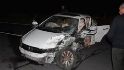 Sivas'ta yola çıkan domuz sürüsü kazaya neden oldu